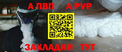 спиды Кингисепп