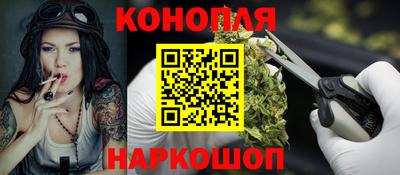 спиды Кингисепп