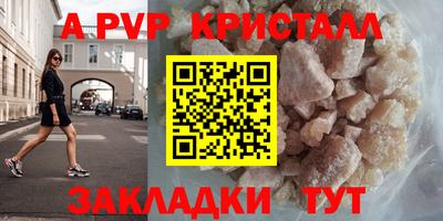 спиды Кингисепп