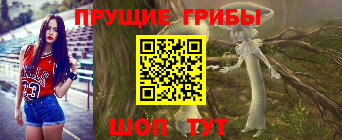 Новокузнецк  Псилоцибиновые грибы MAGIC MUSHROOMS  Вход с VPN 